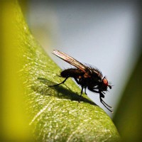 /album/cliquejogos/photolia-a04-jpg/
