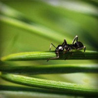 /album/cliquejogos/photolia-a05-jpg/