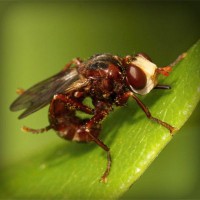 /album/cliquejogos/photolia-a06-jpg/