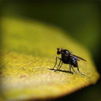 /album/cliquejogos/photolia-a07-jpg/