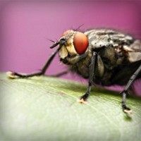 /album/cliquejogos/photolia-a08-jpg/